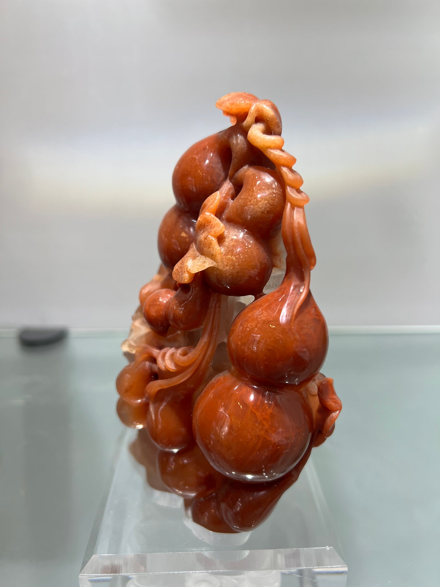 Red phantom quartz squirrel