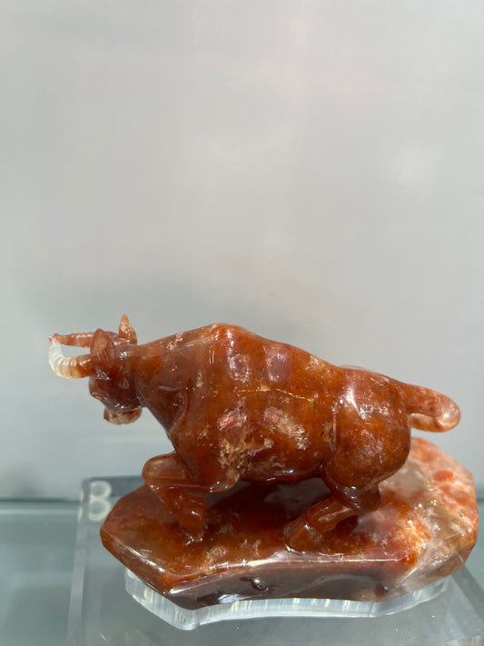 Red phantom quartz bull