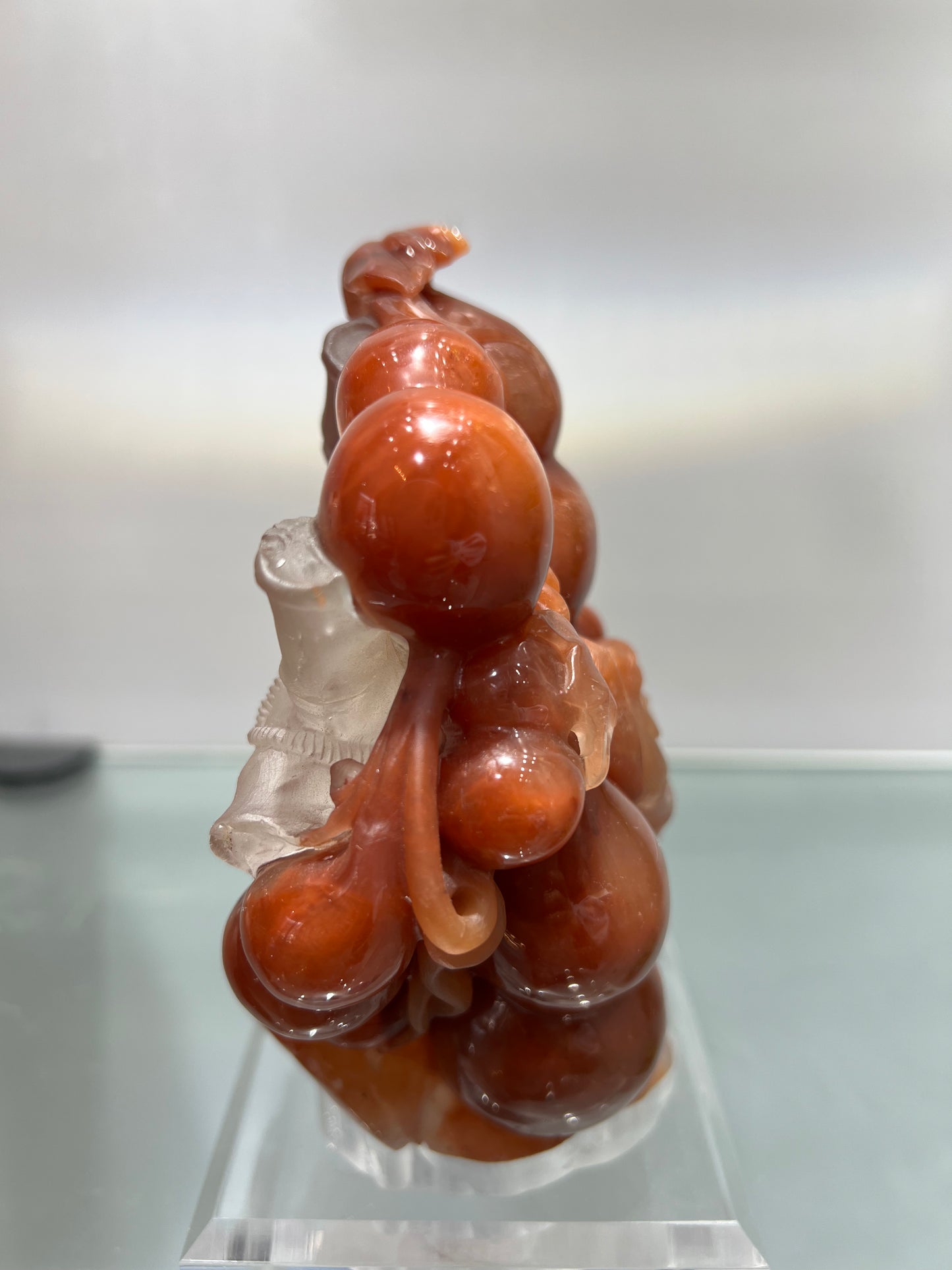 Red phantom quartz squirrel