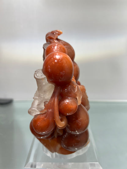 Red phantom quartz squirrel
