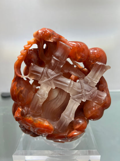 Red phantom quartz squirrel