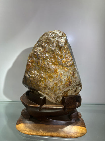 Garden quartz sea life carving