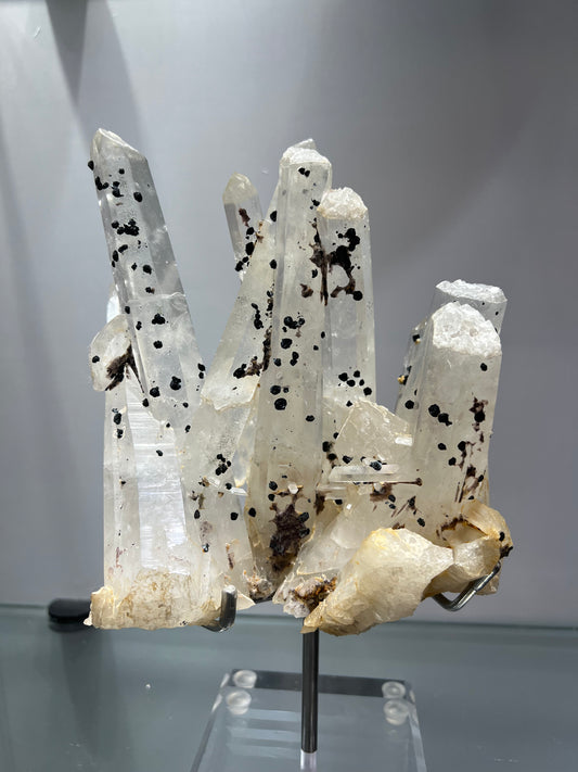 Cactus crystal spirit quartz