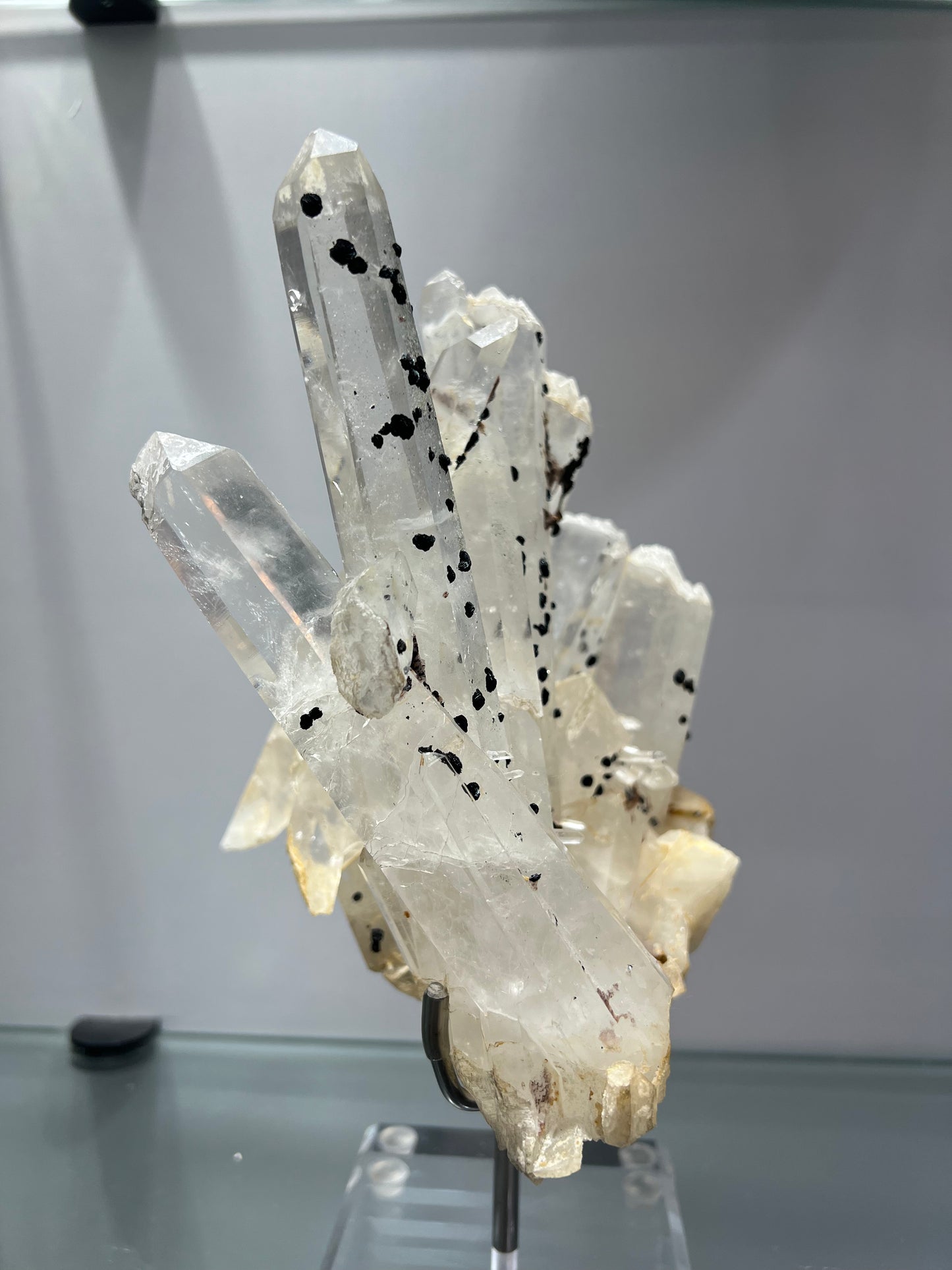 Cactus crystal spirit quartz