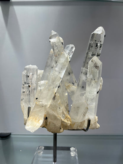 Cactus crystal spirit quartz