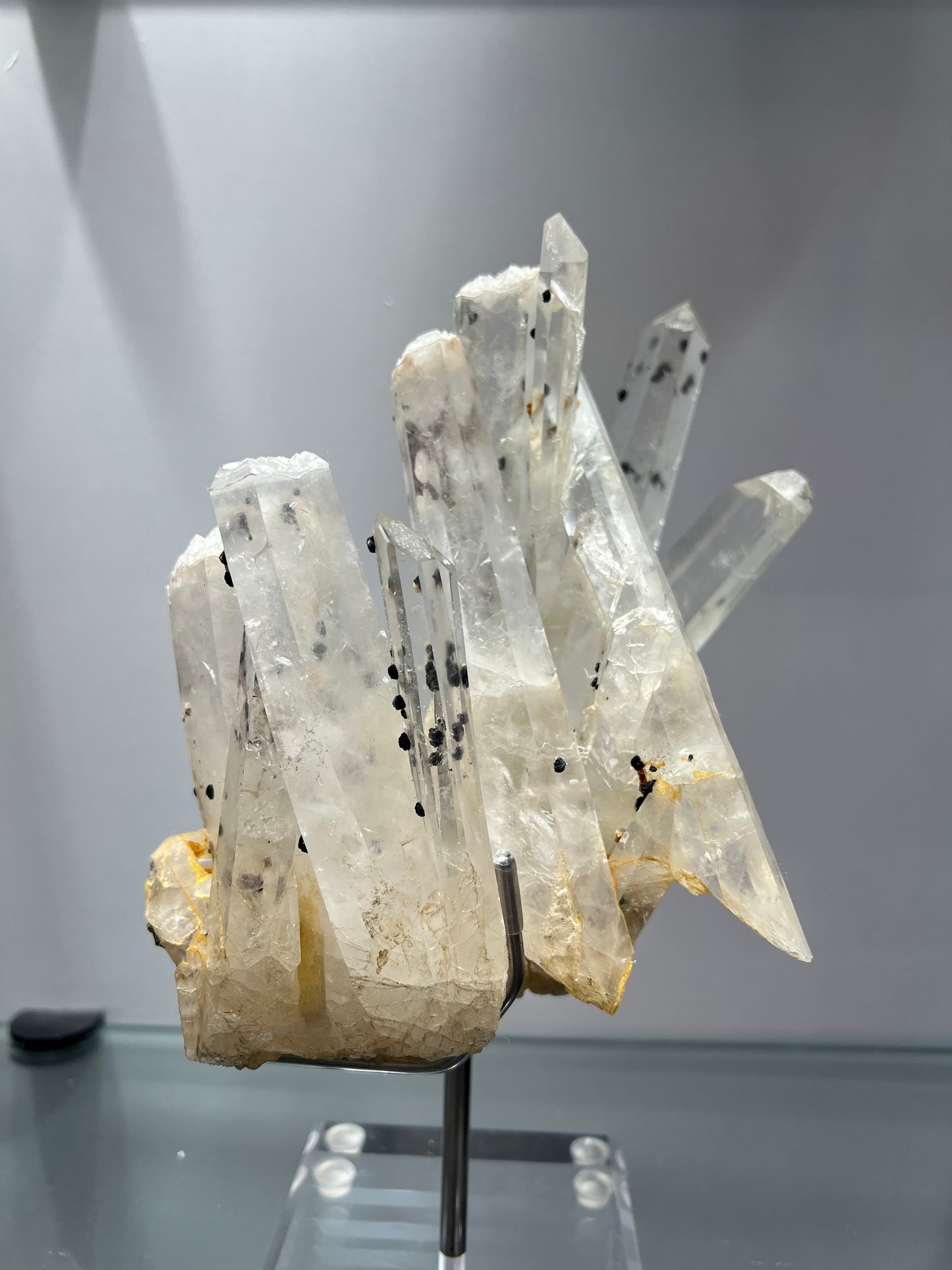 Cactus crystal spirit quartz