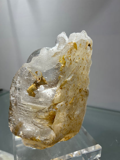 Rutile crystal sea life carving